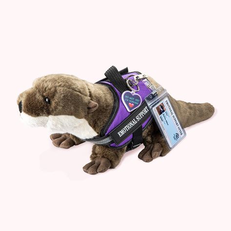 Personalized Emotional Support Otter Stuffed Animal Emotional Support Stuffed Animals, Essa Plush, Stuffed Otter, Essa Dog, Otter Stuffed Animal, Sleeping Otters, Otter Plush, Animal Plushies, Emotional Support Dog