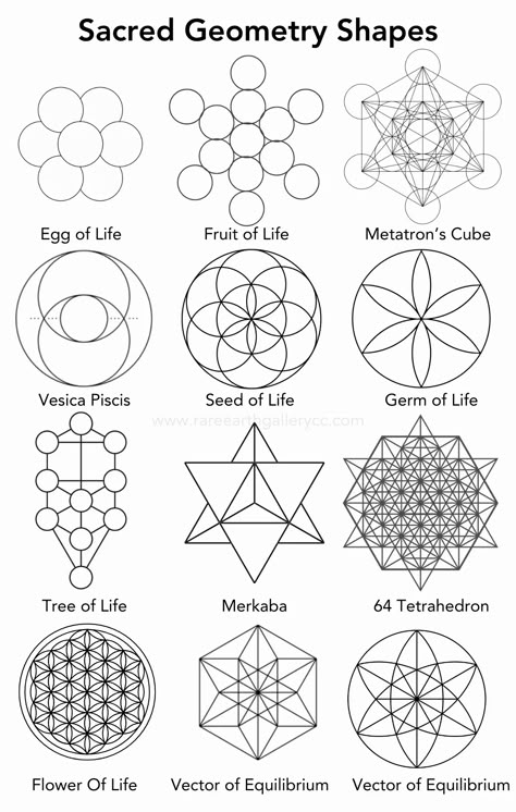 Introduction to Sacred Geometry | Rare Earth Gallery Esoteric Symbols Sacred Geometry, How To Draw Sacred Geometry, Sacred Geometry Art Mandalas, Sacred Geometry Meanings, Altar Inspiration, Crystals Healing Grids, Mathematics Geometry, Drawing Basics, Geometry Symbols