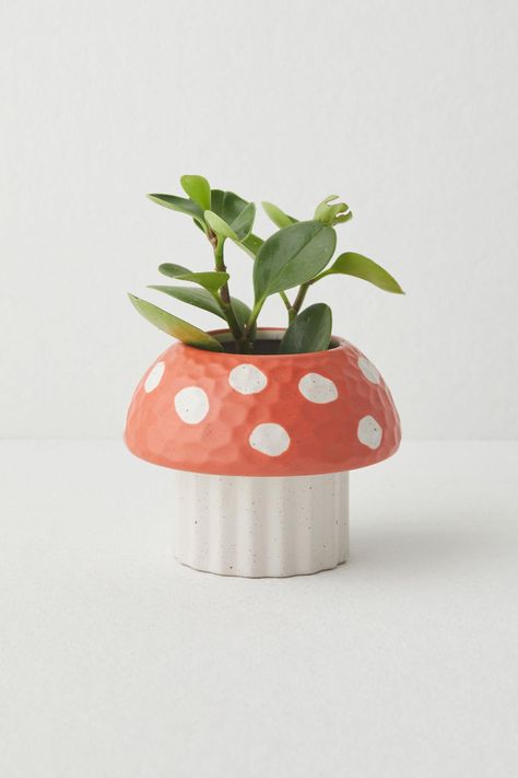 Cayla Mushroom Planter | Urban Outfitters New Zealand - Clothing, Music, Home & Accessories Plant Sanctuary, Mushroom Silhouette, Mushroom Planter, Toadstool Mushroom, Coil Pots, Australia Clothes, Red Mushroom, Color Coding, Cleaning Wipes