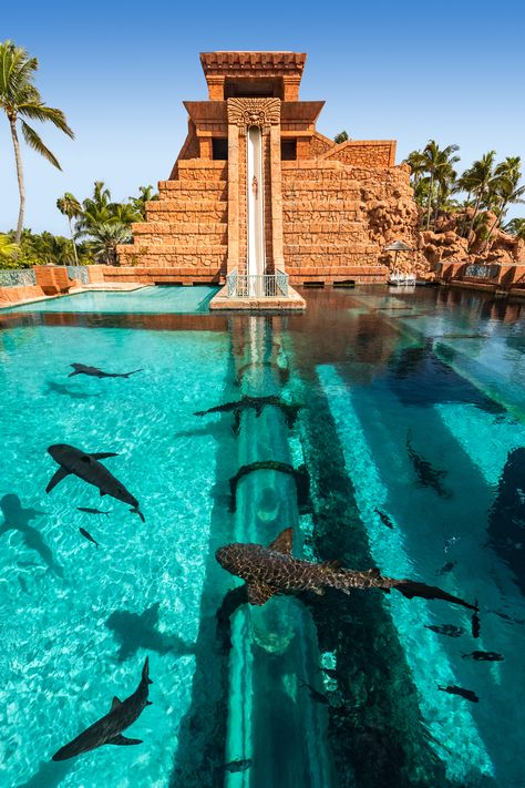 From water slides to lazy rivers, these resort water parks are perfect for family vacations down south. Bahamas Honeymoon, Bahamas Resorts, Paradise Island Bahamas, Atlantis Bahamas, Bahamas Travel, Bahamas Vacation, Family Friendly Resorts, Dream Vacations Destinations, Parc D'attraction