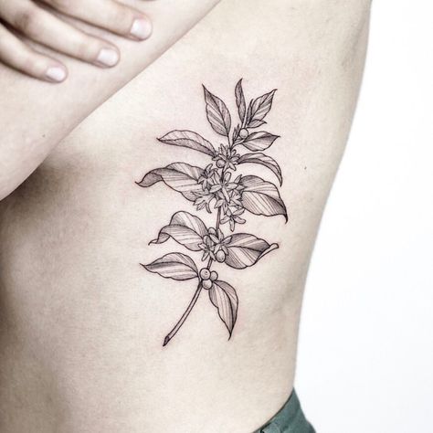 Coffee Tattoos on Instagram: “Coffee tattoo by @rachainsworth⠀ ⠀ #coffeetattoo #coffeelover #baristalife” Neat Tattoos, Model Tattoos, Tattoo Cafe, Coffee Tattoo, Floral Tattoos, Coffee Tattoos, Harry Potter Tattoos, Coffee Instagram, Plant Tattoo