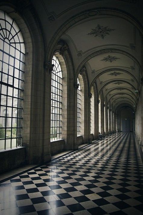 Gothic Mansion Interior, Gothic Castle Aesthetic, Gothic Hallway, Gothic Castle Interior, Castle Aesthetic Interior, Goth Castle, Manor Aesthetic, Goth Architecture, Gothic Manor