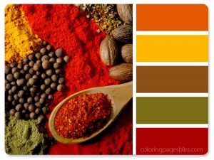 Spices Color Palette Color Palette For Home, Color Concept, Color Palette Yellow, Red Colour Palette, Brown Color Palette, Color Schemes Colour Palettes, Green Colour Palette, Fall Color Palette, Design Seeds