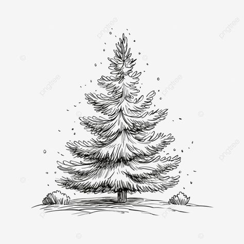 christmas tree vector illustration hand drawn engraving ink sketch pine branch vintage sketch vint Christmas Tree Sketch, Christmas Tree Outline, Christmas Tree Vector, Tree Vector Illustration, Old Fashion Christmas Tree, Small Pine Trees, Sketch Reference, Christmas Tree Drawing, Drawing Png