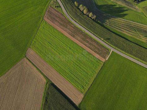 View from above of mowed and harvested country fields in countryside stock photography Fields From Above, Cereal Background, Country Fields, View From Above, End Of Summer, Stock Photography, Cereal, Photo Image, Stock Photos