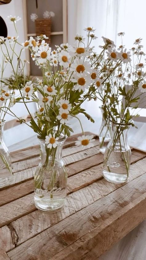 Daisy Baby Shower, Deco Champetre, Daisy Party, Wildflower Baby Shower, Tafel Decor, Spring Baby Shower, Bloom Baby, Baby In Bloom, Flower Party