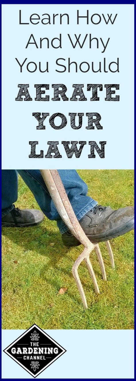 Do you want to have the best lawn on the block?  Learn why aerating your lawn is so good for the soil.  Get tips for how aerate your lawn. Fall Lawn Maintenance, Lawn Maintenance Schedule, Lawn Aeration, Winter Lawn Care, Lawn Care Schedule, Spring Lawn Care, Fall Lawn, Lawn Food, Diy Lawn