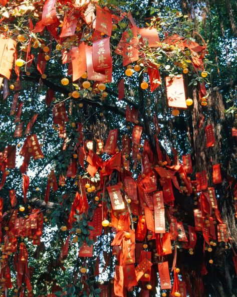 Wishing tree (nazar boncuks, different color ribbons to make the wish, elephant deco to hang on the tree and butterflys). Asian Christmas Tree, Wish Tree Ideas, Wishes Tree, Chinese Tree, Wish Tree, China Crafts, Ribbon Tree, Houses Of The Holy, New Year Art