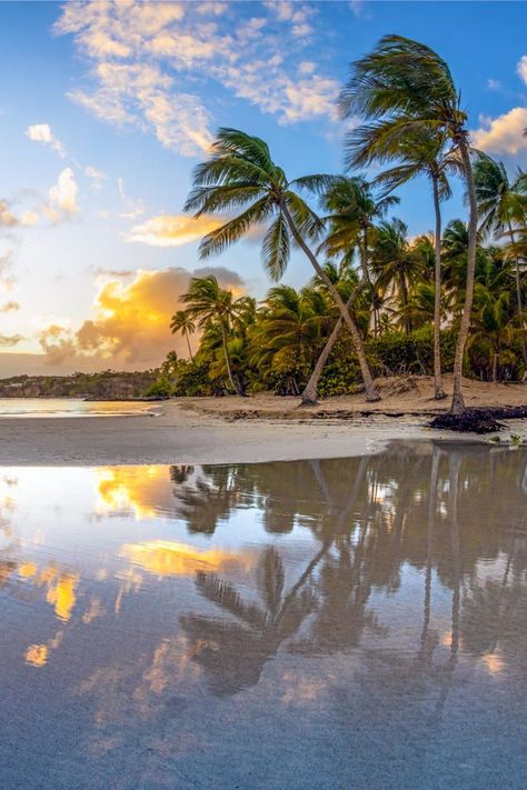 Guadeloupe Aesthetic, Guadeloupe Island, Caribbean Landscape, Emerald Butterfly, Island Gyal, Marie Galante, Apostle Islands, Caribbean Beach, Caribbean Culture