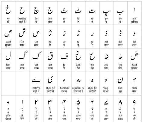 The Urdu Language - Everything You Need to Know Urdu Alphabet, Learning Urdu, Persian Alphabet, Urdu Words With Meaning, Urdu Calligraphy, Hindi Alphabet, Language Urdu, Sanskrit Language, Arabic Alphabet Letters