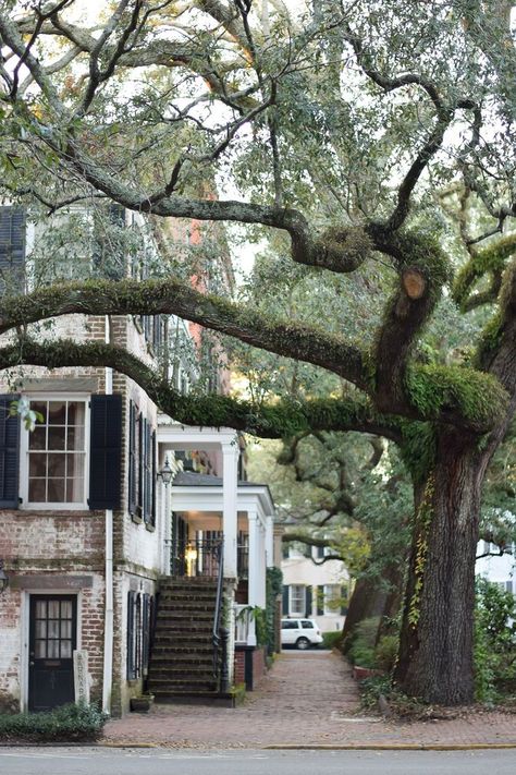 Savannah Georgia Architecture, Georgia Browns, Georgia Scenery, Savanna Georgia, Georgia Savannah, Savannah Georgia Travel, With Wonder And Whimsy, Wonder And Whimsy, Mint Juleps