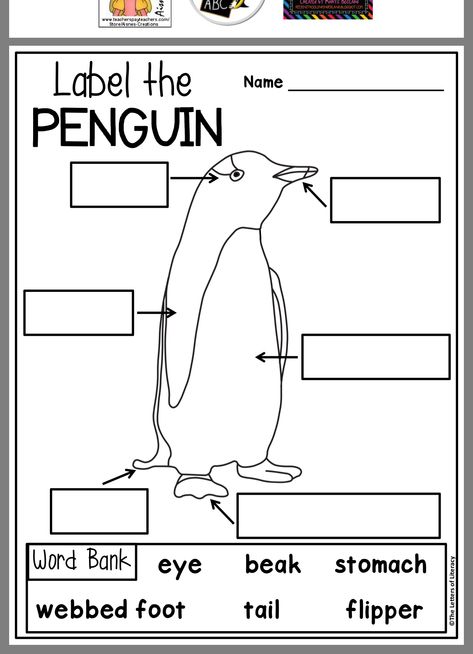 Penguin Worksheets, Penguin Life Cycle, 2024 Activities, Arctic Penguins, Penguin Activities, Penguin Theme, Preschool Christmas Crafts, Montessori School, Word Bank