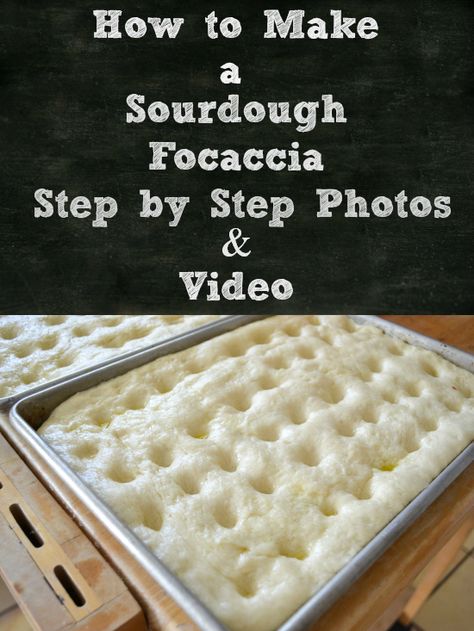 Sourdough Starter Focaccia Bread, Sourdough Care, Sourdough Focaccia Recipe, Chipotle Salsa, Sourdough Focaccia, Dough Starter, Starter Recipes, Discard Recipes, Focaccia Recipe