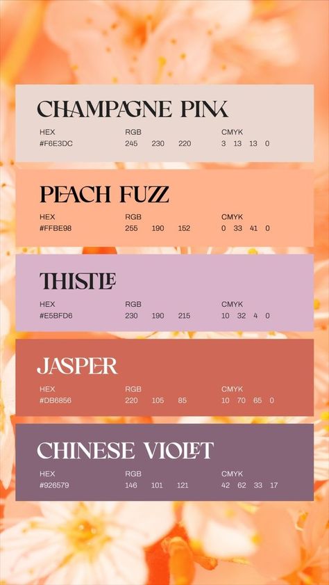 Pretty Pallets, Pretty Color Palette, Color Of The Year 2024, Peach Decor, Color Design Inspiration, Hex Color Palette, Pantone Color Of The Year, Color Schemes Colour Palettes, Brand Color Palette