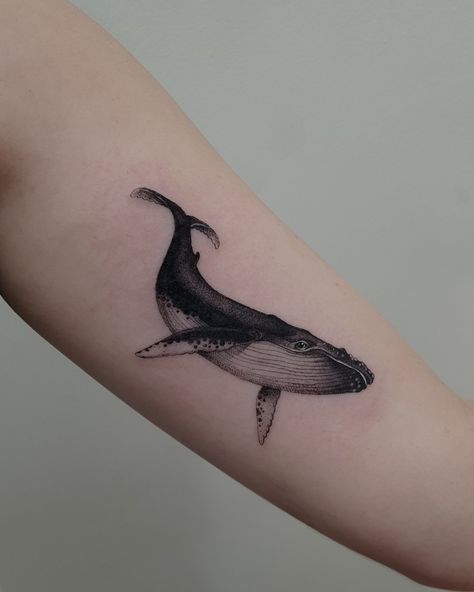 Blackwork fineline realism tattoo by Alexandyr Valentine of humpback whale on arm tattoo Humpback Whale Tattoo, Black People Tattoos, Half Sleeve Tattoo Stencils, Sheep Tattoo, Whale Tattoo, Bookish Tattoos, Power Tattoo, Tattoo Shading, Hidden Tattoos