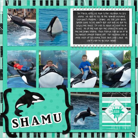 Swimming With Sharks, Beach Scrapbook, Beach Scrapbook Layouts, Scrapbooking Layouts Travel, Seaworld Orlando, Disney Scrapbook Pages, Christmas Layouts, Scrapbook Stuff, Disney Ideas