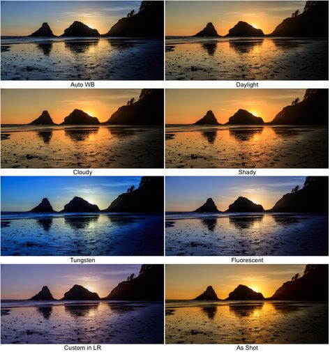 How to use Camera White Balance to Improve Your Photos https://www.digitalphotomentor.com/white-balance/ White Balance Photography, Canon Camera Photography, Beginner Photography Camera, Wildlife Photography Tips, Manual Photography, Digital Photography Lessons, Dslr Photography Tips, Photography Settings, Shadow Photography