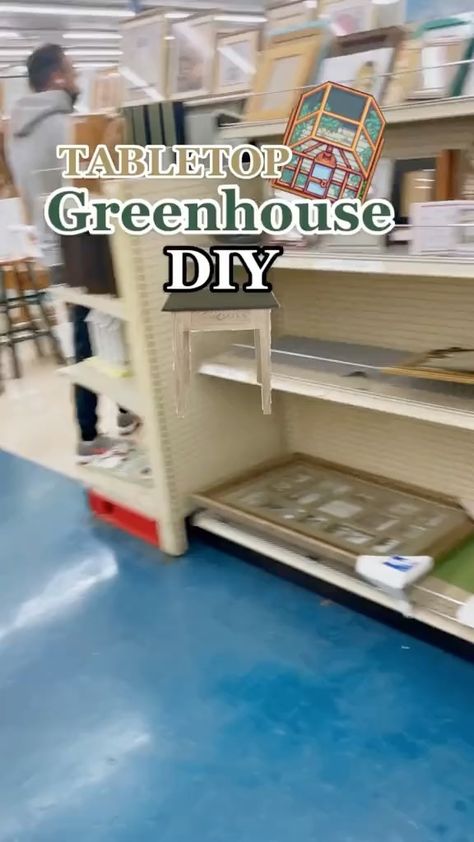 Small Porch Greenhouse, Homemade Indoor Greenhouse, Diy Indoor Greenhouse Small Spaces, Small Green House Interior Ideas, Diy Small Greenhouse Cheap, Small Diy Greenhouse, Table Top Greenhouse, Indoor Greenhouse Room, Diy Greenhouse Cheap Easy