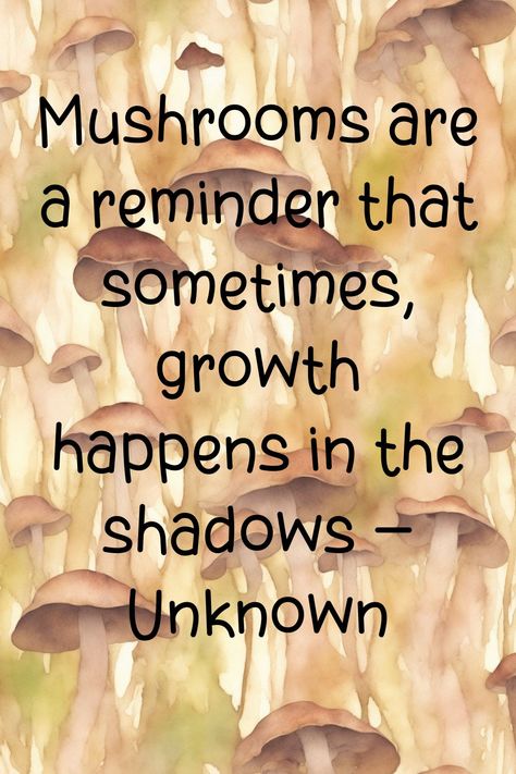 Fungi Quote: Mushrooms are a reminder that sometimes, growth happens in the shadows – Author Unknown Fun Facts About Mushrooms, Mushroom Motivational Quotes, Spiritual Meaning Of Mushrooms, Magic Mushroom Aesthetic, Mushroom Quotes Aesthetic, Mushroom Sayings Quotes, Fungi Quotes, Mushroom Quotes Funny, Mushroom Quotes Life