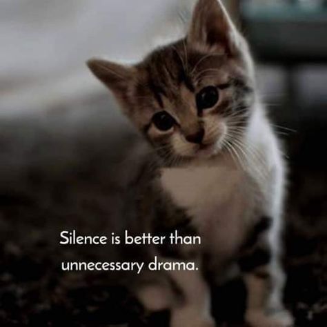 Silence Is Better, Al Qur'an Photography, Tiny Quotes, Doodle Quotes, Silence Quotes, Daily Quotes Positive, Moments Quotes, Cute Inspirational Quotes, Postive Life Quotes