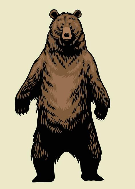 Standing Grizzly Bear, Grizzly Bear Standing, Grizzly Bear Drawing, Brown Bear Illustration, Drawing Stand, Bear Standing, Wild Animals Painting, Bear Vector, Bear Drawing