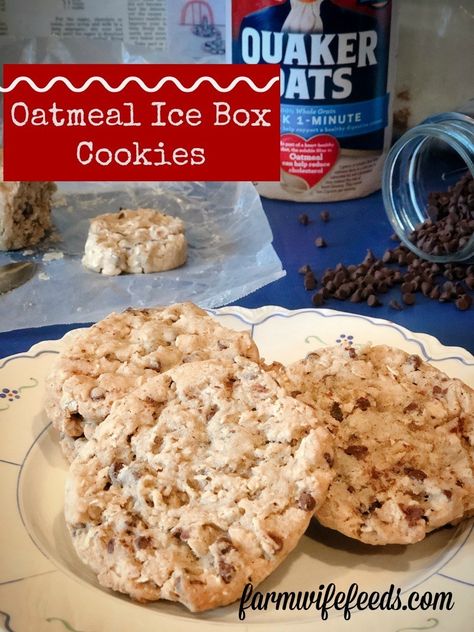 Oatmeal Icebox Cookies, Icebox Oatmeal Cookies, Ice Box Oatmeal Cookies, Oatmeal Slice And Bake Cookies, Ice Box Cookies Recipe, Ice Box Cookies Old Fashioned, Ice Box Cookies, Refrigerator Cookies Recipes, Refrigerator Cookies