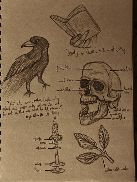 Sketchbook Dark Academia, Easy Dark Academia Drawing, Dark Academia Doodles Easy, Dark Academia Paintings Easy, Dark Academia Draw, Dark Academia Scrapbook Ideas, Dark Academia Art Drawing, Academia Aesthetic Drawing, Dark Academia Aesthetic Drawing