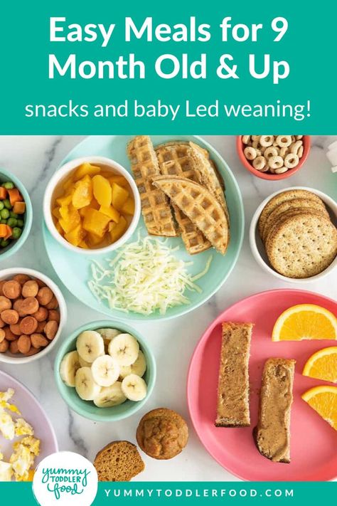 Easy Meals and Snack Ideas for 9 Month Old and Up. This cheat sheet of nutritious food ideas makes feeding your 9-12-month-old babies easy and gives them the essential nutrition for growing that they require. Find all sorts of solid baby food ideas here from breakfast ideas to baby lunch recipes, healthy dinners, and everything in between. Baby Led Weaning and more including fresh fruit and veggies. Healthy Food For 10 Month Old, Healthy 9 Month Old Meals, Foods 9 Month Olds Can Eat, 11 Month Old Eating Schedule, 9month Baby Food Meal Ideas, Daycare Lunch Ideas For 9 Month Old, Lunch Idea For 12 Month Old, Baby Meals 9 Month Old, Baby Food Recipes 9 12 Months