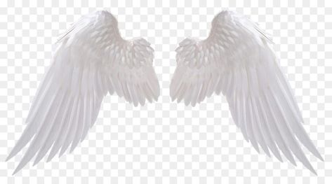 Angel Wings Png, Teenager Boy, Wings Png, White Angel Wings, Design Pattern Art, Blurred Background Photography, Scary Wallpaper, New Photos Hd, Portrait Lighting