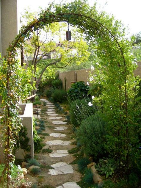 Pergolas, Arbor Walkway, Landscape Arbor, Artificial Vertical Garden, Side Yard Landscaping, Amazing Backyard, Lamb's Ear, Pallet Patio, Pergola Garden