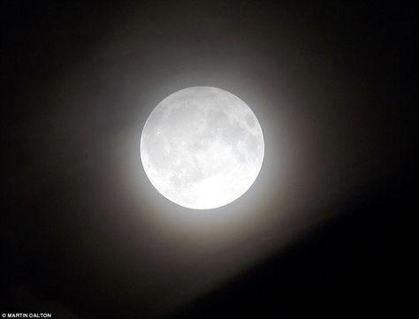 In other parts of the UK (pictured in Essex) the moon glowed eerie and bright without a cloud in the sky to darken its glow Angeles, Moon Lunar Eclipse, Moon Lights, Glowing Moon, Moon Eclipse, White Moon, Moon Pictures, Lunar Eclipse, Harvest Moon