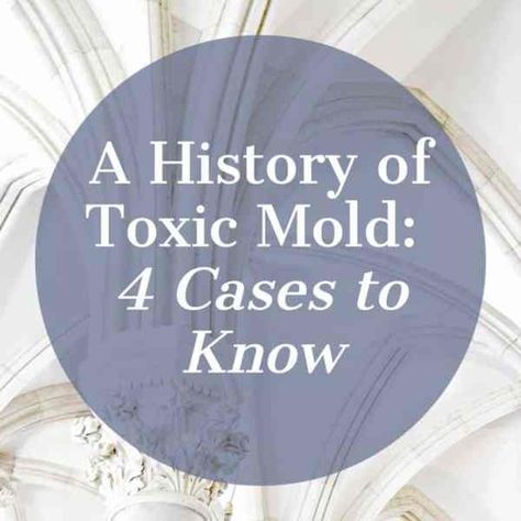 10 Empowering Things to Do While You're Stuck in a Moldy Home - The Meaningful Bits of Life House Mold, Toxic Mold, Mold Exposure, Diy Remedies, Cleaning Ideas, Beautiful Inside And Out, Meaningful Life, Blood Test, House Cleaning