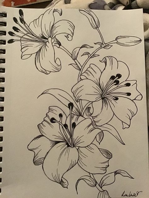 Lilies Drawing, Gcse Art Sketchbook, Nature Art Drawings, Flower Art Drawing, Best Tattoo Designs, Art Tattoos, Doodle Art Designs, Art Drawings Sketches Creative, Online Group