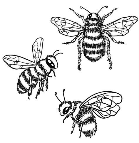 Flying Bees Tattoo, Bumble Bee Drawing Cute, Bumble Bee Line Art, Bumble Bee Drawings, Bee Outline Drawing, Bubble Bee Drawing, Bee Flying Drawing, Bee Flying Tattoo, Bumble Bee Outline