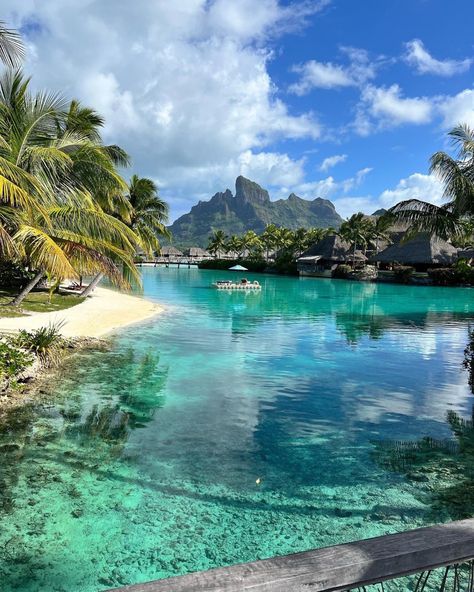 #borabora #vacay Bora Bora Trip, Bora Bora Vacation, Trip To Bora Bora, Bora Bora Island, Bora Bora Honeymoon, Bora Bora French Polynesia, Flights Not Feelings, Tropical Sea, Dream Trips