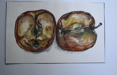 Rotting apples Rotting Fruit Drawing, Rotting Food Art, Rotting Fruit Art, Rotten Fruit Drawing, Rotten Apple Drawing, Rotting Apple, Apple Sketch, Art Coursework, Sustained Investigation