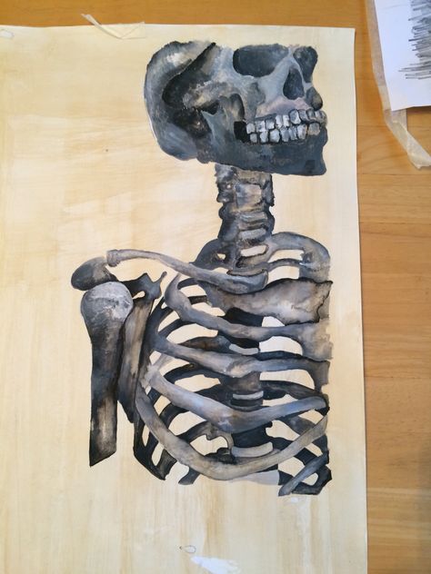 my acrylic painting of the human skeleton Ribcage Acrylic Painting, Anatomy Painting Acrylic, Ribs Painting, Skeleton Painting Acrylic, Decaying Nature, Watercolor Skeleton, A Level Art Themes, Analog Art, Skeleton Painting