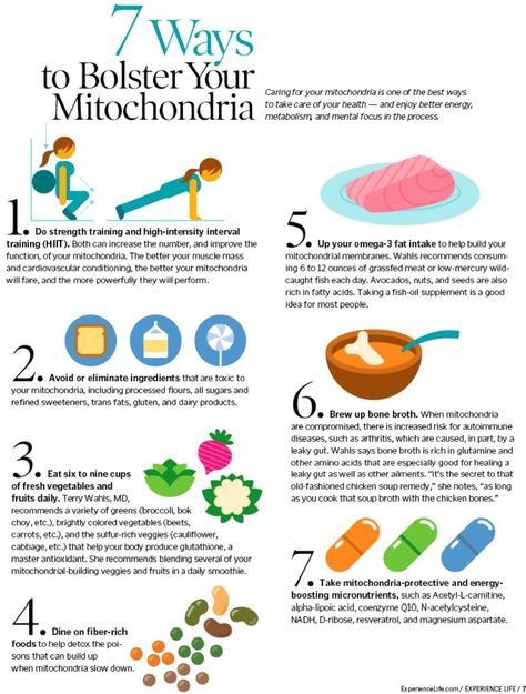 Mitochondrial Health, Food As Medicine, Cellular Respiration, Heart Brain, Body Energy, Hormone Health, Health Knowledge, Holistic Nutrition, Health Info