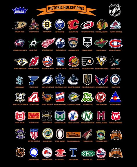 Nhl Hockey Teams, Philadelphia Flyers Hockey, American Patriotism, Nhl Teams, Sports Trophies, Flyers Hockey, Sport Logos, Hockey Logos, Nhl Logos