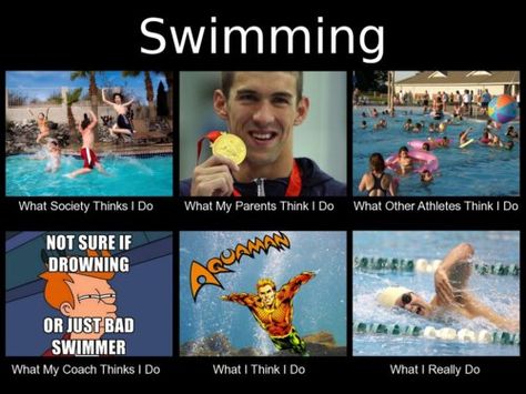 As a coach now, I often wonder what new stroke creations my swimmers are inventing during sets lol Swimmer Memes, Swim Quotes, Scuba Diving Hawaii, Swimming Jokes, Scuba Diving Quotes, Diving Quotes, Swimming Funny, Swimming Motivation, Swimming Memes