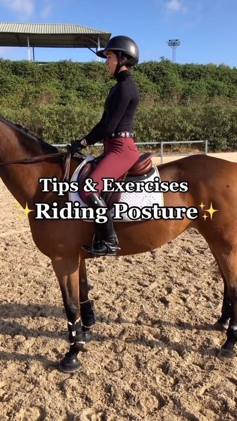 Gabriela Reutter on Reels | Equestrian Workout, Riding Ideas, Horse Riding Videos, Improve Myself, Horseback Riding Tips, Horse Exercises, Equestrian Aesthetic, Horse Riding Tips, Funny Horses