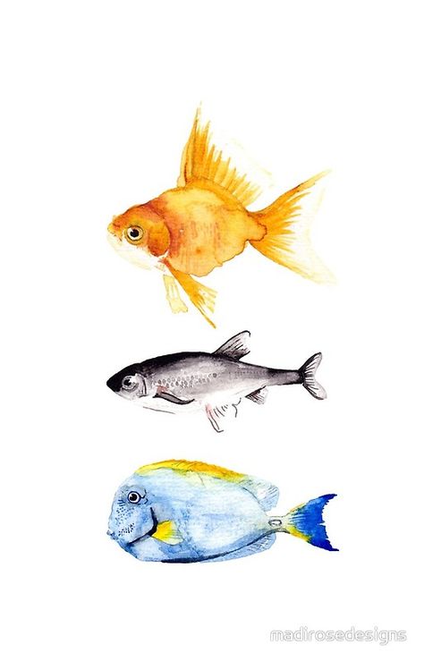 Watercolor Tropical Fish, Watercolour Fish Easy, Watercolour Fish Paintings, Fish Painting Ideas, Watercolor Fish Painting, Watercolour Fish, Fish Sketch, Colourful Watercolour, Colourful Fish