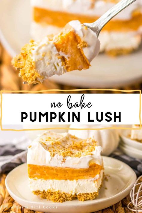 Dive into the fall season with this delicious Pumpkin Lush Dessert! Imagine a pumpkin filling, layered with cream cheese, all on a graham cracker crust. Pumpkin Cream Cheese Layered Dessert, No Bake Pumpkin Lush Pie, Pumpkin Lush Dessert 9x13, No Bake Pumpkin Lush, Pumpkin Pie Cheesecake Truffles, Pumpkin Lush Dessert Recipe, Pumpkin Lush Pie, No Bake Pumpkin Desserts, Pumpkin Lush Dessert