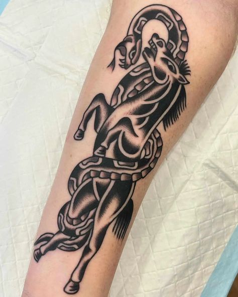 Old School Horse Tattoo, Horse American Traditional Tattoo, Trad Horse Tattoo, Traditional Horse Tattoo, Pharaohs Horses Traditional Tattoo, Traditional Horse Tattoo Flash, Traditional Tattoo Horse, Back Of Arm Tattoo, Tato Tradisional