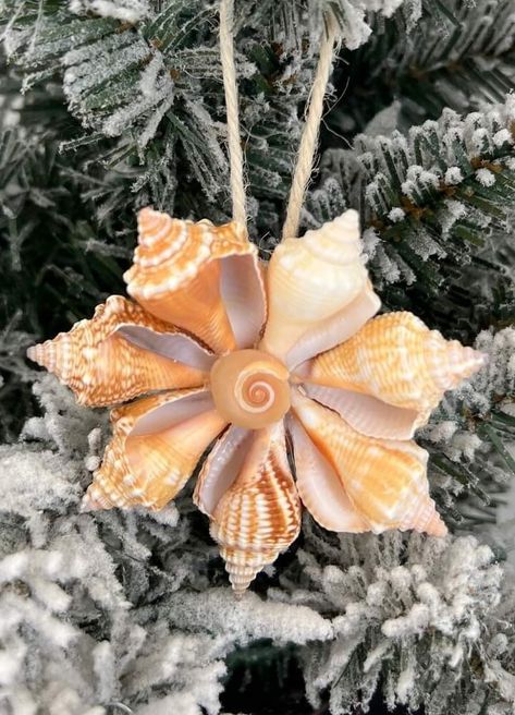 Sanibel Island Shells, Seashell Art Diy, Seashell Christmas Ornaments, Seashell Christmas, Beach Christmas Decorations, Sea Shells Diy, Beach Themed Crafts, Coastal Ornament, Art Coquillage