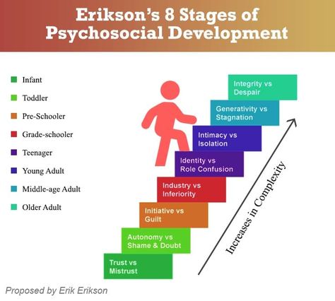 8 Stages Of Development By Erik Erikson, Erik Erikson Stages Human Development, Erikson Stages Of Development, Erikson Stages, Stages Of Psychosocial Development, Stroop Effect, Psychosocial Development, Erik Erikson, Stages Of Development