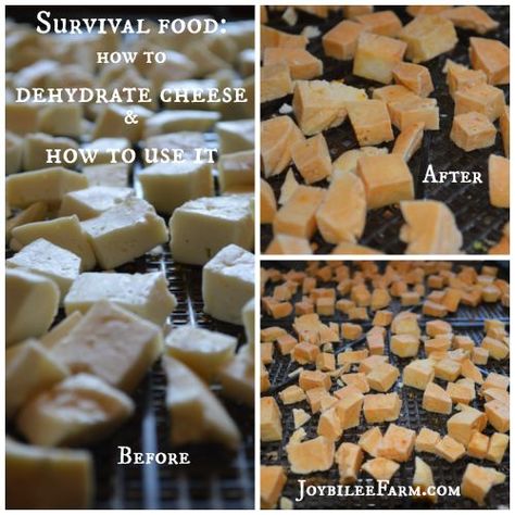 Survival food – how to dehydrate cheese and how to use it Dehydrate Cheese, Making Sour Cream, Making Kefir, Daily Milk, Dehydrating Food Storage, Food Dehydration, Butter Making, Homemade Trail Mix, Canned Food Storage