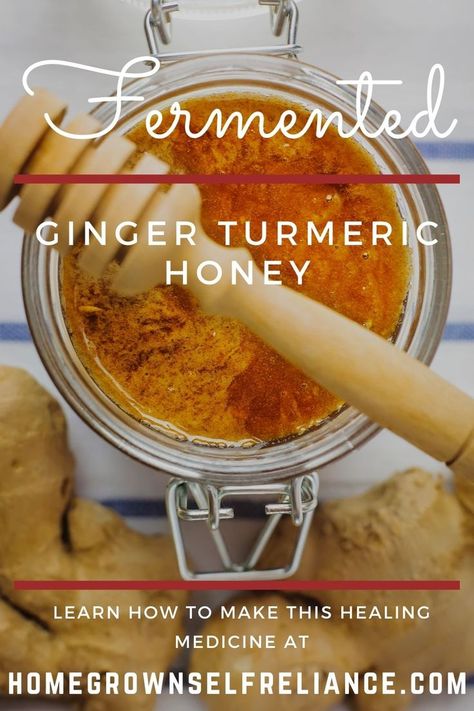 Fermented Ginger, Ginger Tumeric, Fermented Vegetables Recipes, Fermented Honey, Turmeric And Honey, Healthy Nutrition Plan, Turmeric Recipes, Health Medicine, Fermentation Recipes