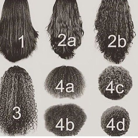 Curl Patterns. The hair is probably all the same length, but shrinkage is  happening Natural Hair, Nature, Big Chop, Curly Hair, Grunge Hairstyles Short, Hair Transition, Alexa Device, Grunge Hair, American Women