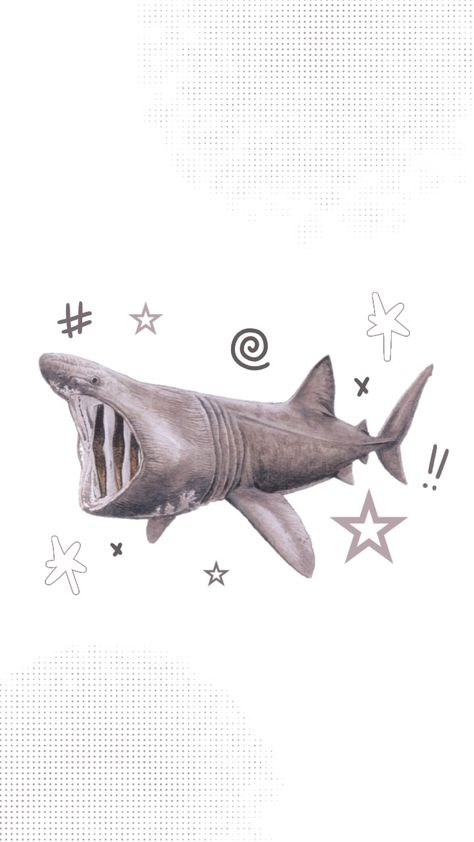 basking shark lockscreen !! this was another requested one . ^__^ Basking Shark Wallpaper, Basking Shark Drawing, Shark Cute Wallpaper, Shark Homescreen, Shark Phone Wallpaper, Shark Lockscreen, Cute Shark Wallpaper, Shark Wallpaper Aesthetic, Shark Widget